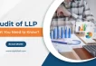 Audit of LLP: What You Need to Know