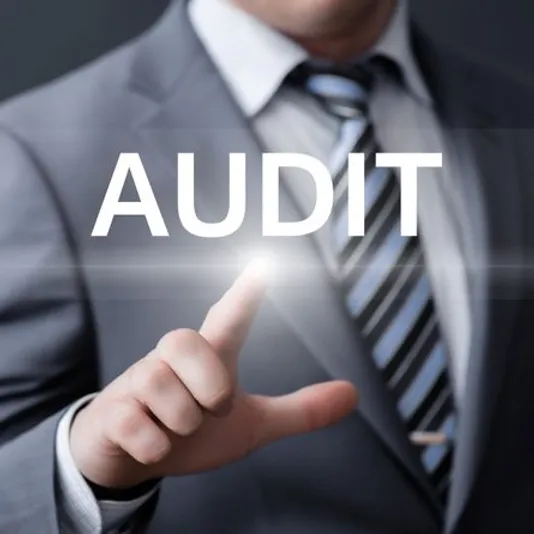 Comprehensive statutory audit process for financial compliance